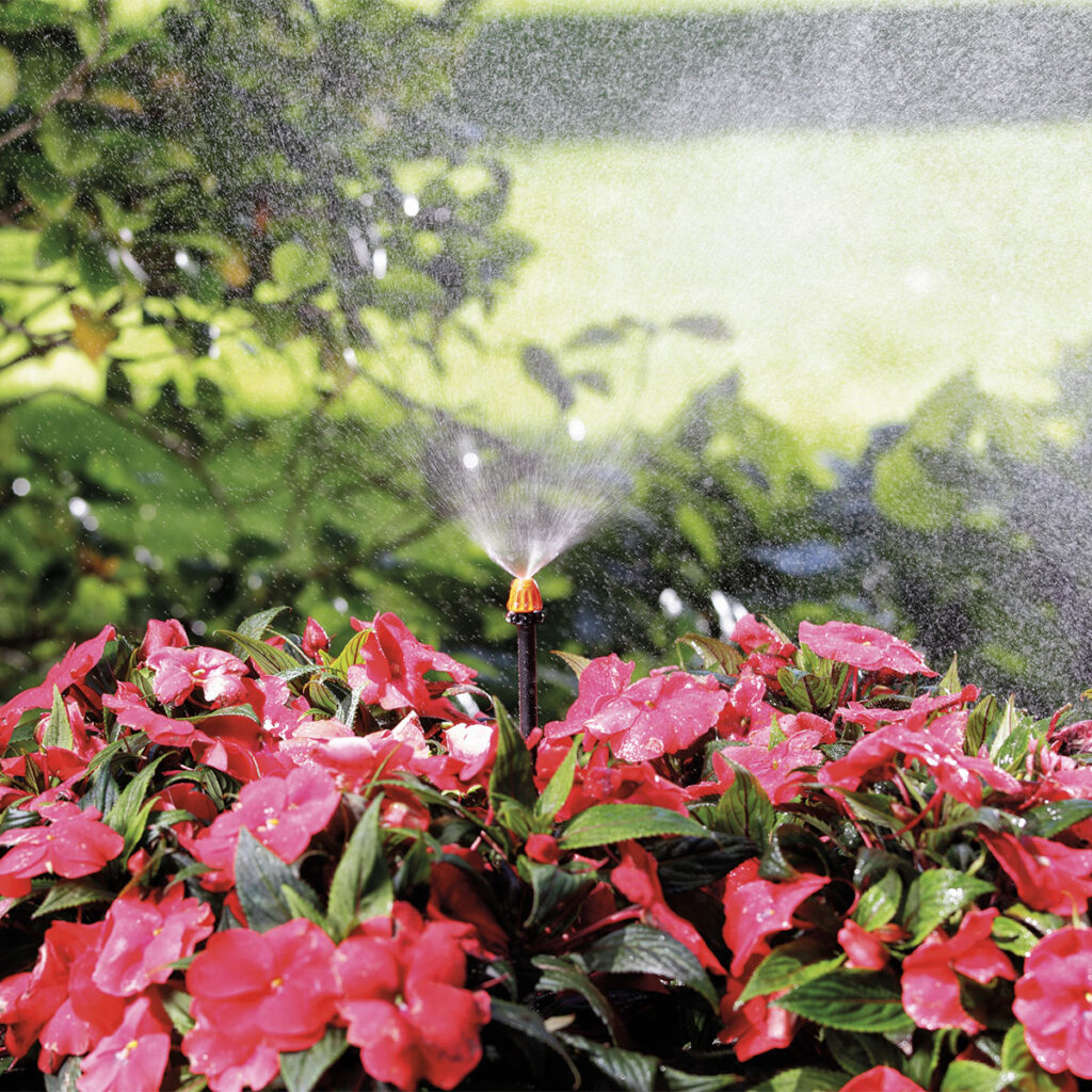 Claber sprinkler 360° "MICRO-MIST-SPRAYER" vattnar livfulla rosa blommor med gröna blad i en solbelyst trädgård fylld med frodig grönska.